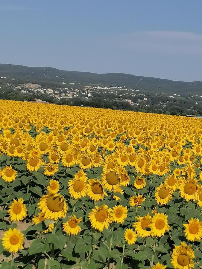 La Chamade Maison De Village Climatisee Lapalud المظهر الخارجي الصورة